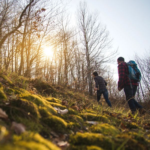 DOĞA YÜRÜYÜŞÜ & TRECKING resmi
